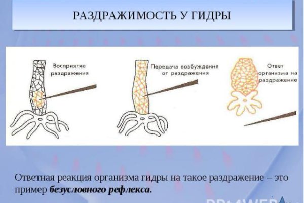 Кракен это современный даркнет