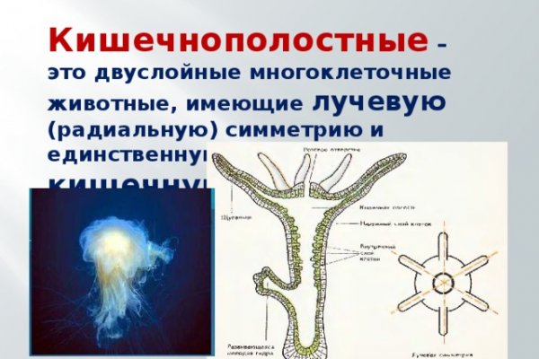 Кракен маркетплейс ссылка тг