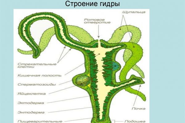 Кракен даркнет магазин