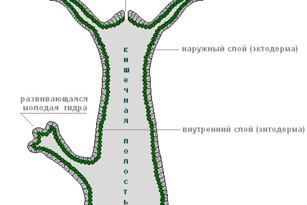 Кракен как войти